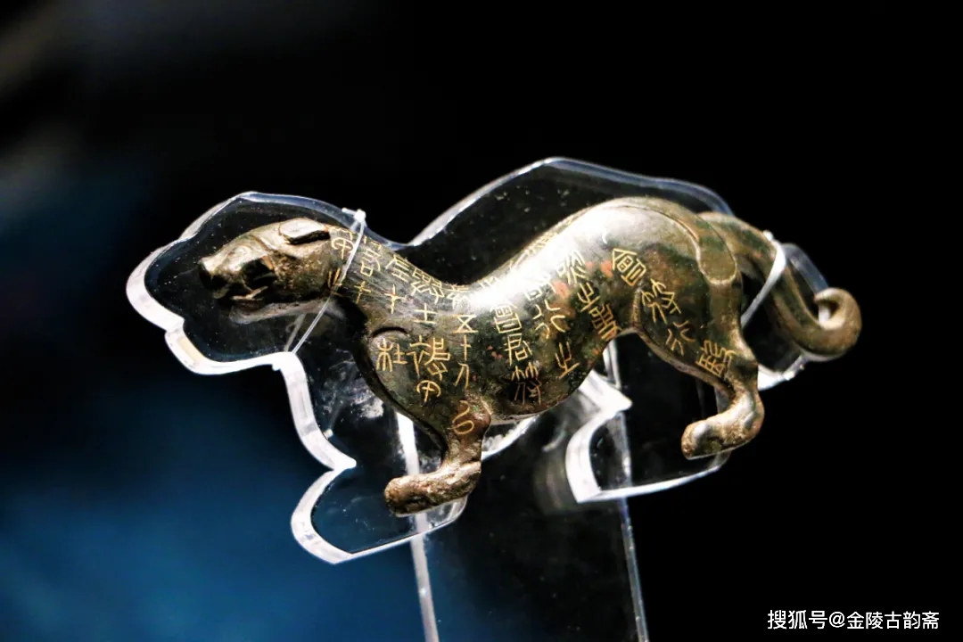 壬寅虎年将要到来,这些老虎你绝对没见过!