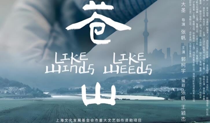 《苍山》这部电影好看吗?很多人表示这部电影很好看